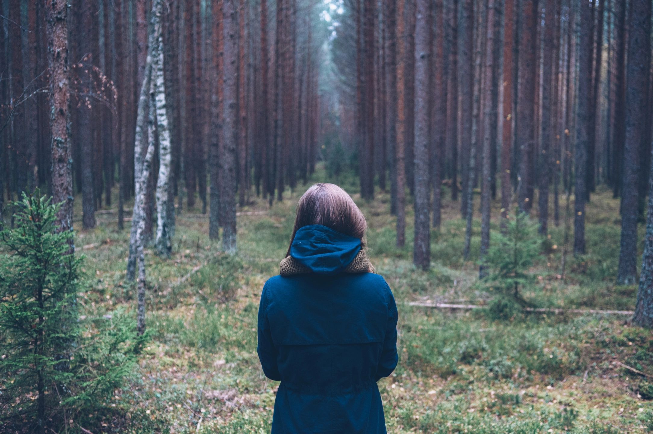 Back of Teen alone standind in the forest. Illustrates internalizing behavior like depression.
